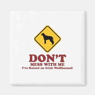 Imã Wolfhound irlandês