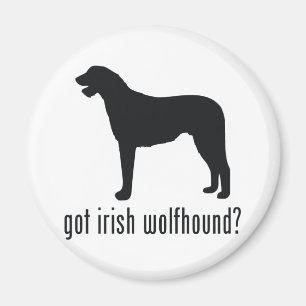 Imã Wolfhound irlandês