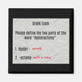 Imã Womb Com Imagem De Histerectomia De Vista