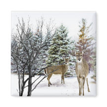 Wonderland de inverno com Whitetail Deer Fridge