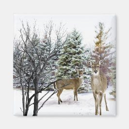 Imã Wonderland de inverno com Whitetail Deer Fridge