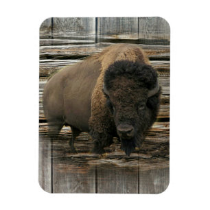 Ímã Wood Bison