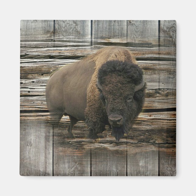 Imã Wood Bison (Frente)