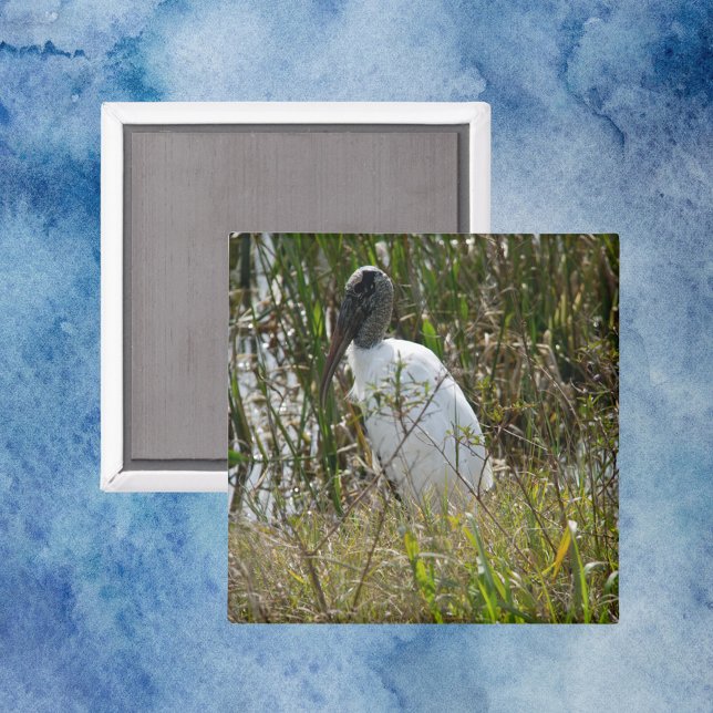 Imã Wood Stork Wetlands Florida Foto (A magnet with a photo of a wood stork bird in Florida)