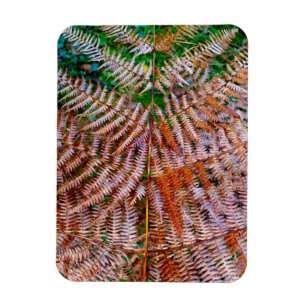 Ímã Woodland Ferns
