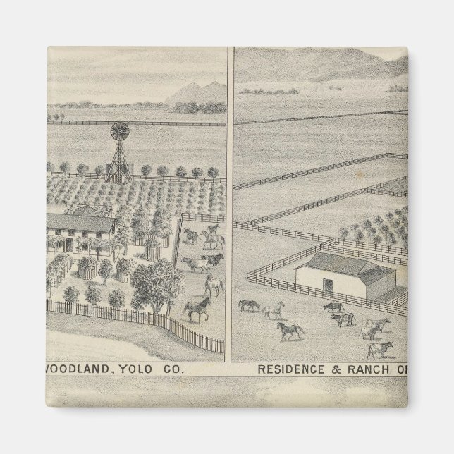 Imã Woodland Lumber (Frente)