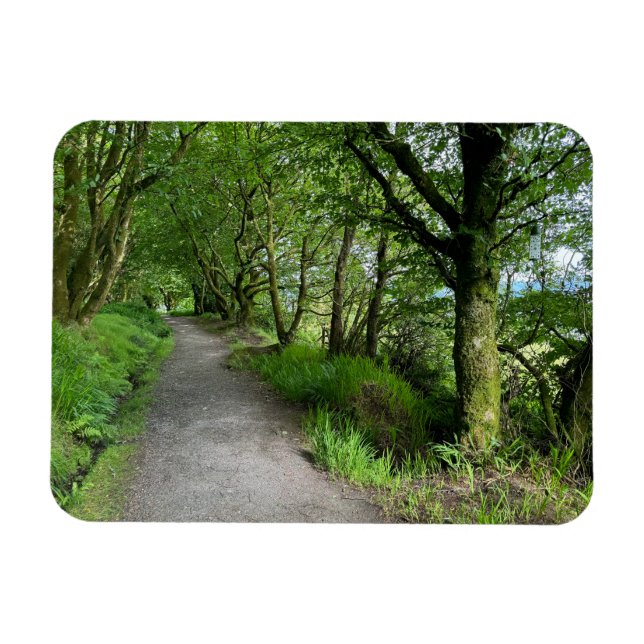 Ímã Woodland Pegpath em Isle of Bute Scotland em um (Horizontal)