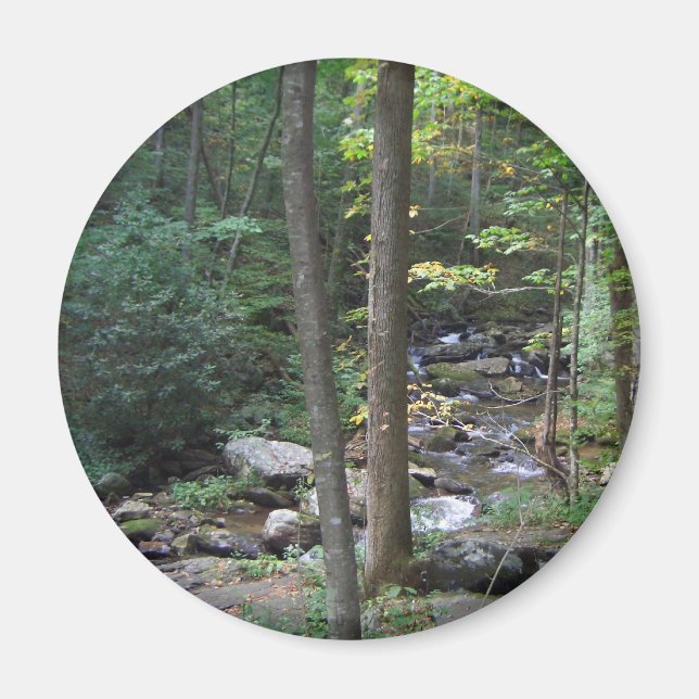 Imã Woodland Stream Magnet (Frente)