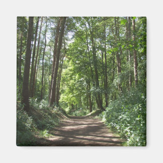 Imã Woods Magnet