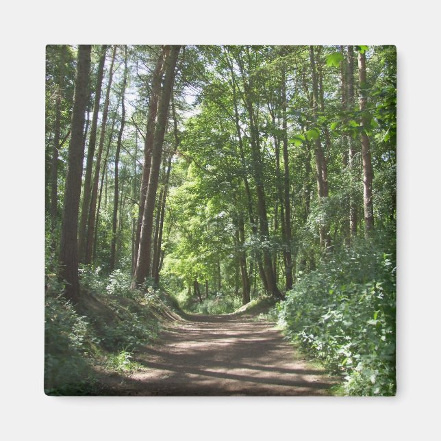Imã Woods Magnet (Frente)