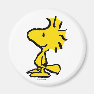 Imã Woodstock Classic Design