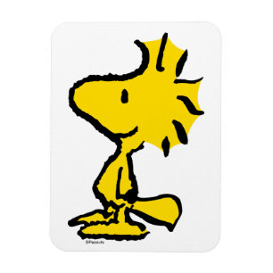 Ímã Woodstock Classic Design Pattern