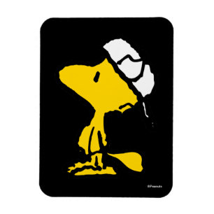 Ímã Woodstock Varsity Sports - Letra Patterna