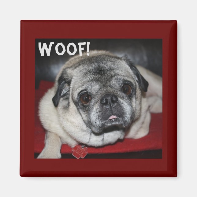 Imã Woof, Pug Magnet (Frente)