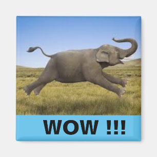 Imã WOW Magnet