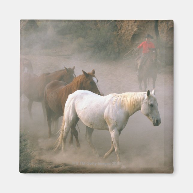 Imã Wrangler com cavalos (Frente)