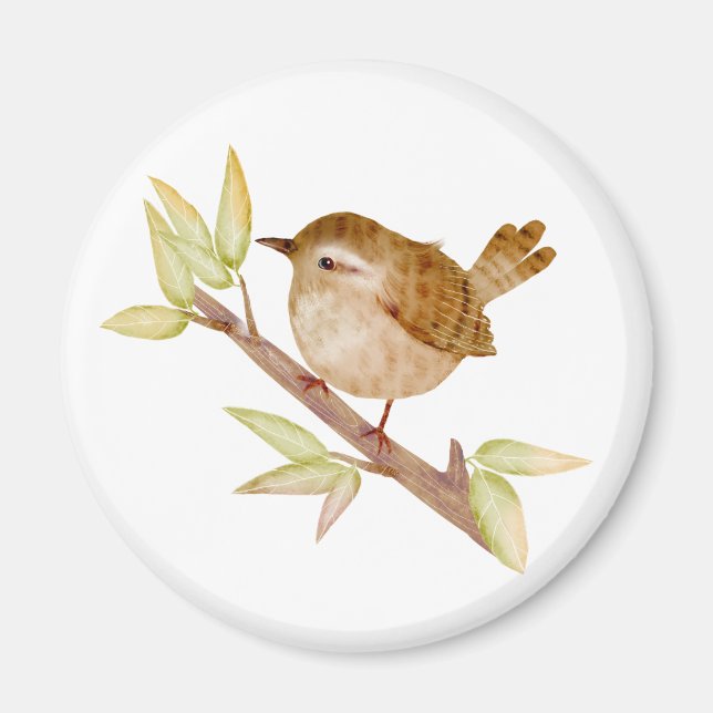 Imã Wren Bird Magnets (Frente)
