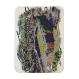 Ímã Wrexham AFC, Racecourse Ground