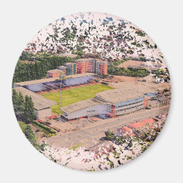 Imã Wrexham AFC, Racecourse Ground