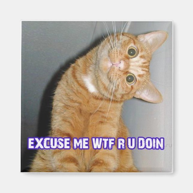 Imã wtf do gato (Frente)