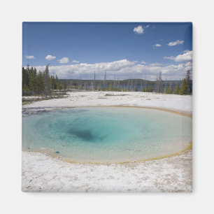Imã WY, Parque Nacional de Yellowstone, Geyser de West