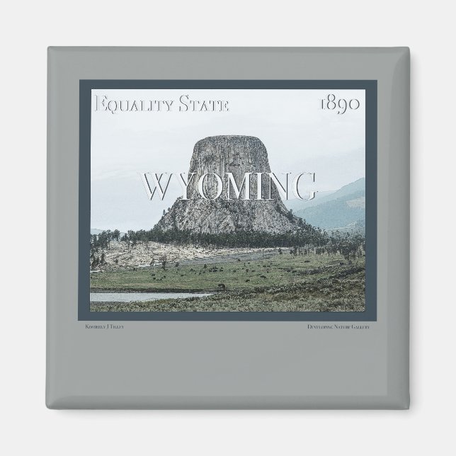 Imã Wyoming Poster (Frente)