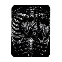 X-Ray Skelett Korpus mit Fledermaus