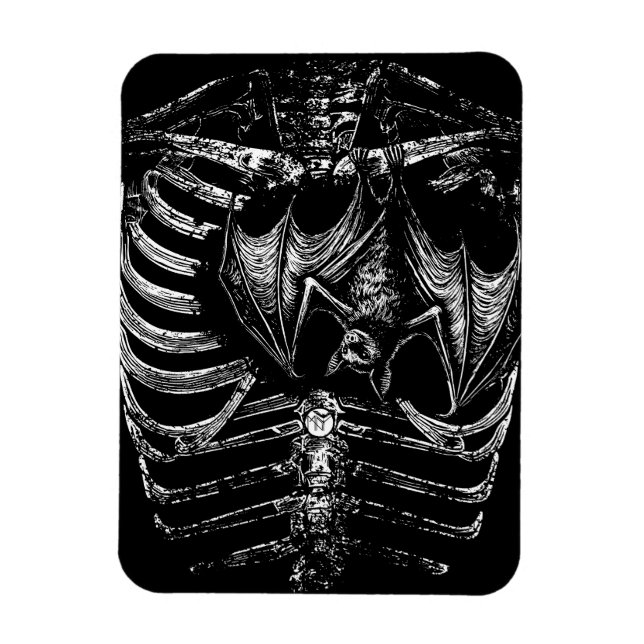 Ímã X-Ray Skelett Korpus mit Fledermaus (Vertical)
