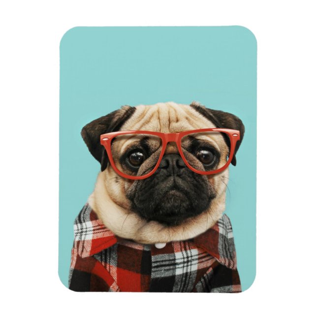 Ímã Xadrez Shirt Pug (Vertical)
