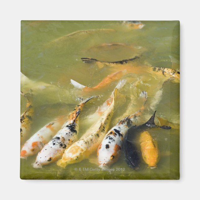 Imã Xangai, China (Frente)