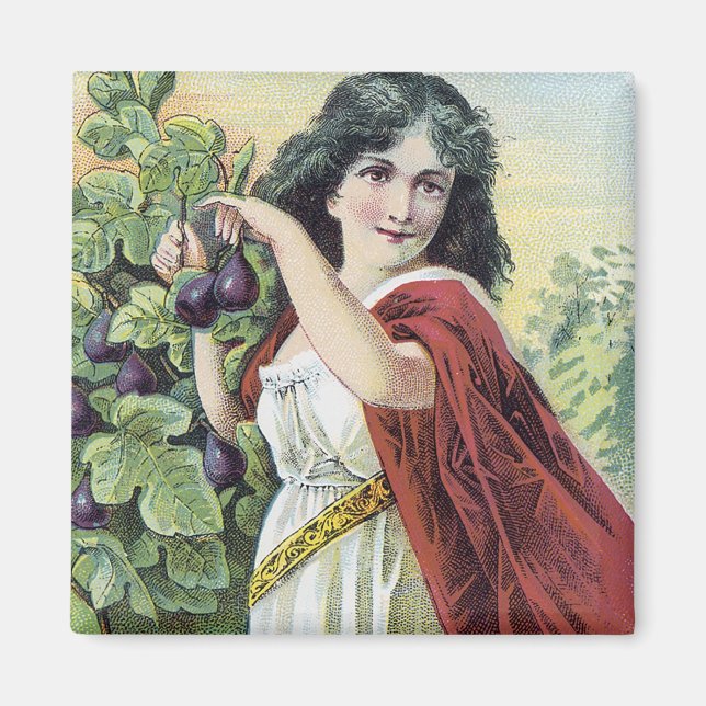 Imã Xarope de Figs Natures Pleasant Laxative (Frente)