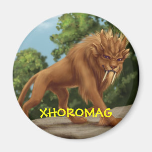 Imã Xhoromag 9