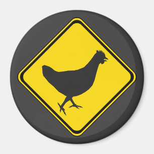 Imã Xing de frango!