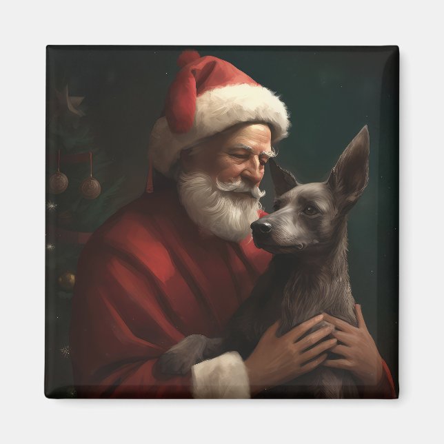 Imã Xoloitzcuintli com Papai Noel Natal Festivo (Frente)