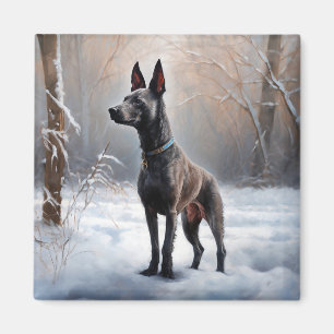 Imã Xoloitzcuintli Deixe Nevar Natal