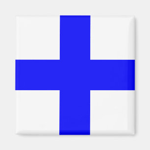 IMÃ XRAY BLUE CROSS