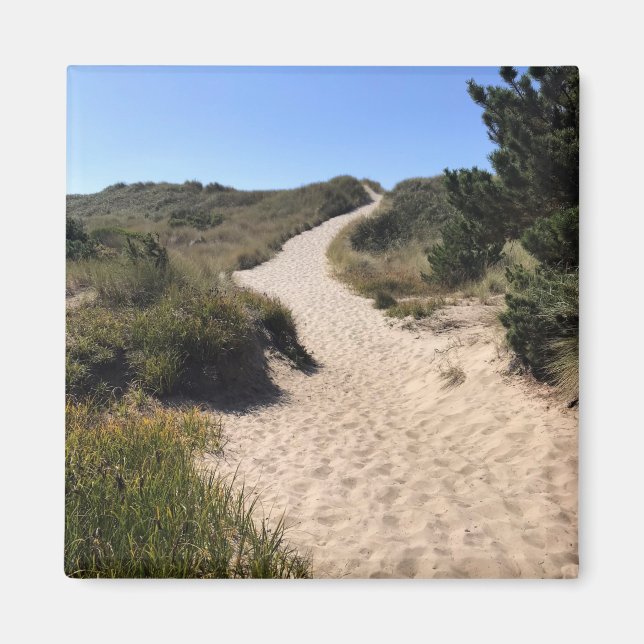 Imã Yaquina Bay State Recreation Site, Newport, Oregon (Frente)