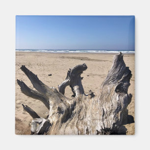 Imã Yaquina Bay State Recreation Site, Newport, Oregon