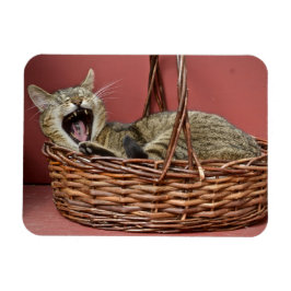 Ímã Yawning Cat Magnet