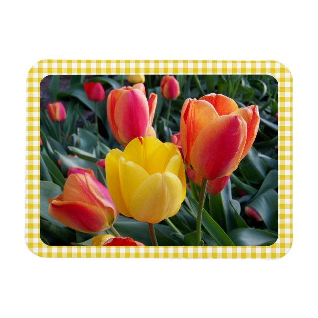 Ímã Yellow Gingham Plaid Tulips Garden Photo (Horizontal)
