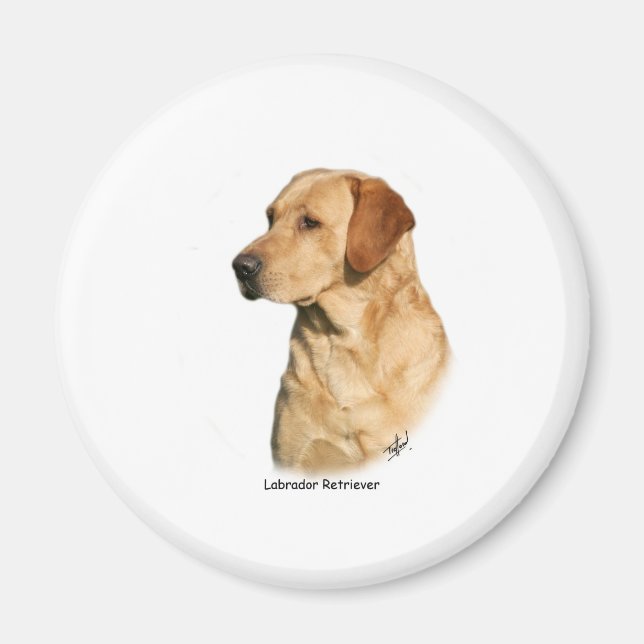 Imã Yellow Labrador Retriever (Frente)