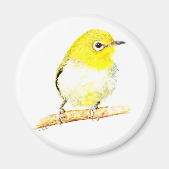 Imã Yellow Viero (Frente)