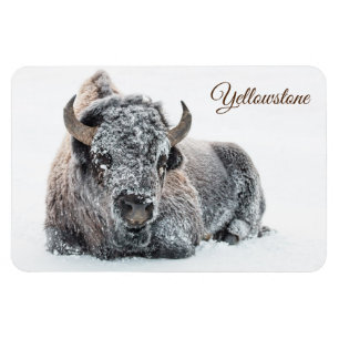 Ímã Yellowstone Magnet-Buffalo