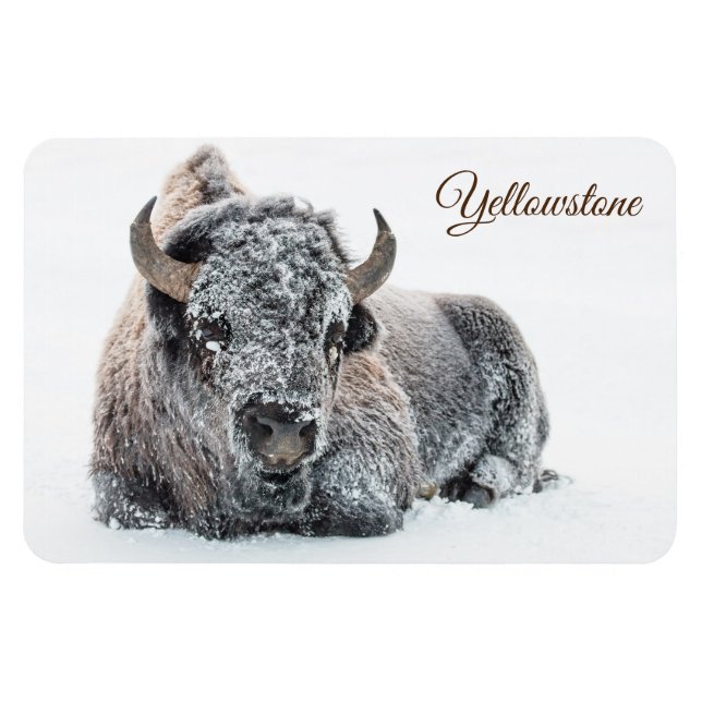 Ímã Yellowstone Magnet-Buffalo (Horizontal)