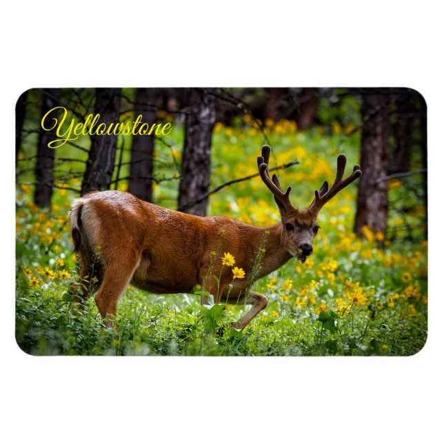 Ímã Yellowstone Magnet-Deer (Horizontal)