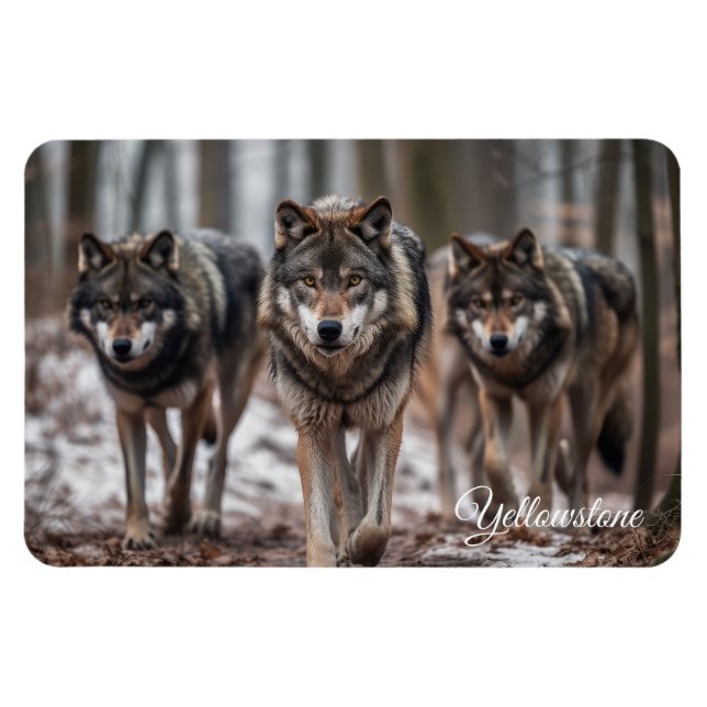 Ímã Yellowstone Magnet-Wolves (Horizontal)