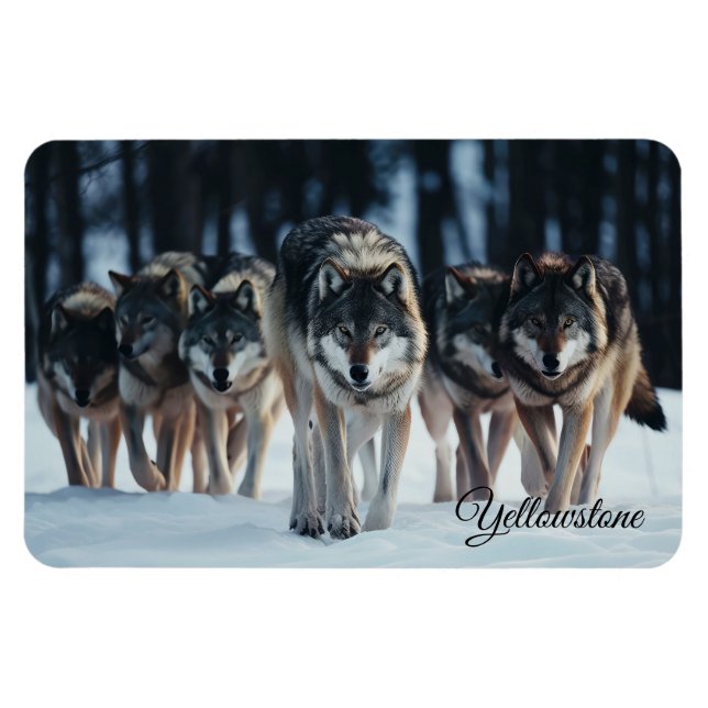 Ímã Yellowstone Magnet-Wolves (Horizontal)