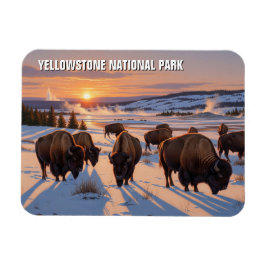 Ímã Yellowstone National Park Bison