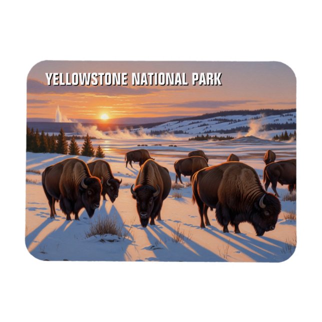 Ímã Yellowstone National Park Bison (Horizontal)