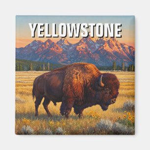 Imã Yellowstone National Park Bison